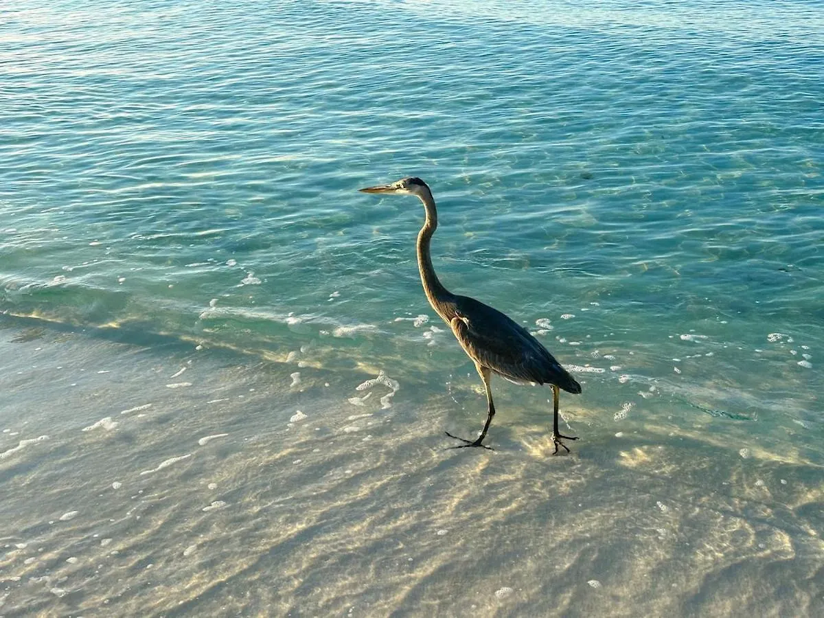 Holiday home Sunrise Destin-Ation Beach View Heated Pool